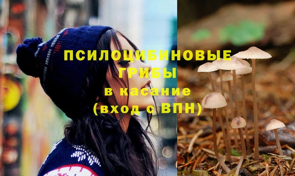 шишки Алзамай