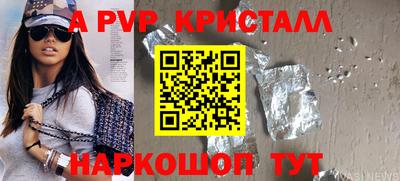 скорость Кингисепп