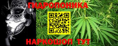 соль ск Кинель
