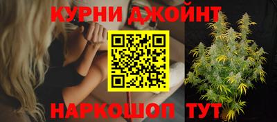 скорость Кингисепп