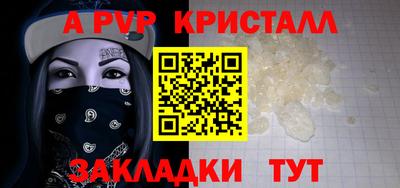 скорость Кингисепп