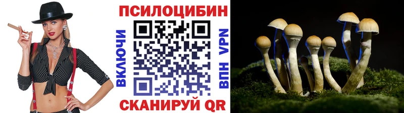 Галлюциногенные грибы MAGIC MUSHROOMS  даркнет сайт  Ярцево 