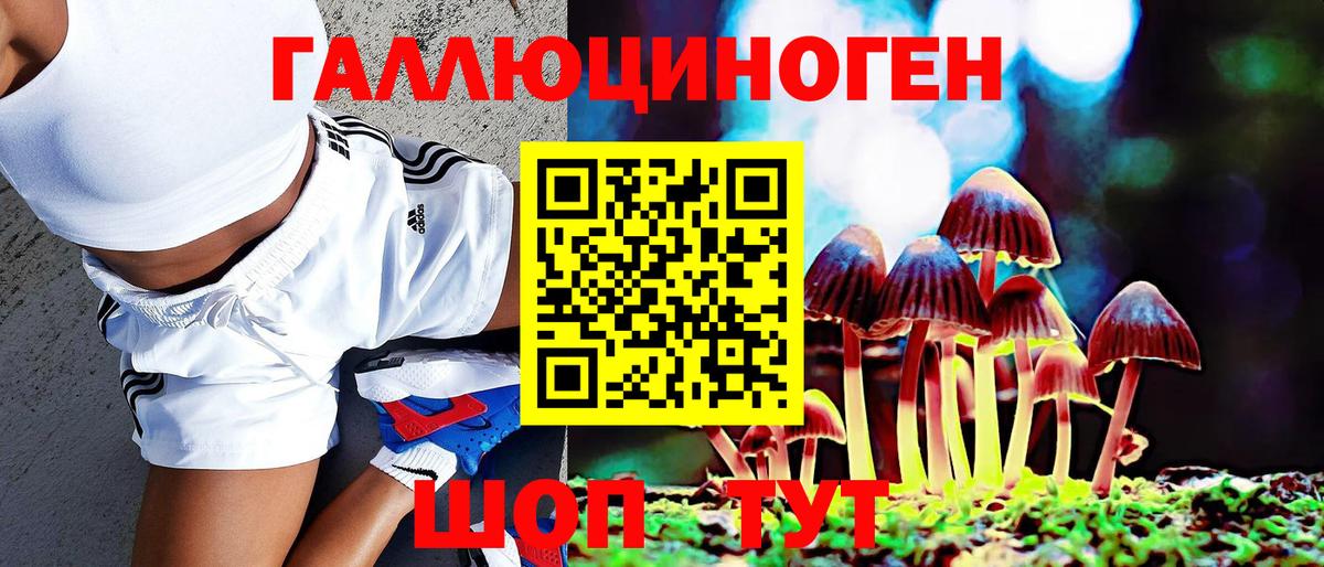 купить  цена  Галлюциногенные грибы Psilocybine cubensis  Вход с VPN  Галлюциногенные грибы прущие грибы  Ярцево 