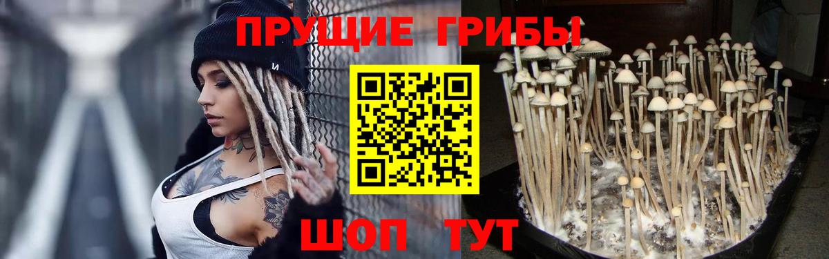 Псилоцибиновые грибы прущие грибы Ярцево